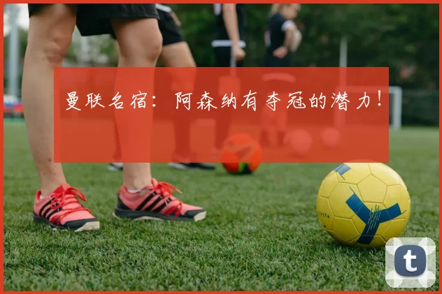 曼联名宿：阿森纳有夺冠的潜力！